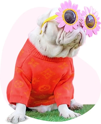 SUPRASLOT | Pink Pug Pop Keychain & Aksesori Pug Unik